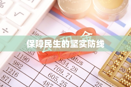 宣汉保障民生的坚实防线