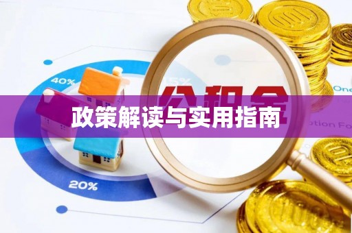 宣汉政策解读与实用指南