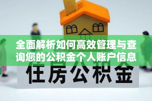 宣汉全面解析如何高效管理与查询您的公积金个人账户信息