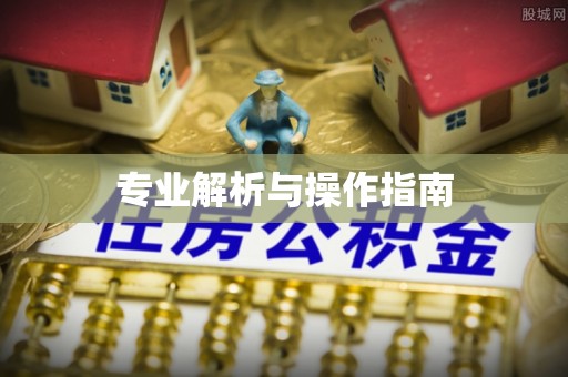 宣汉专业解析与操作指南