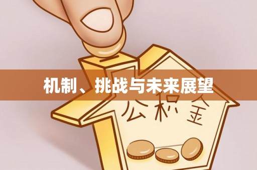 宣汉机制、挑战与未来展望